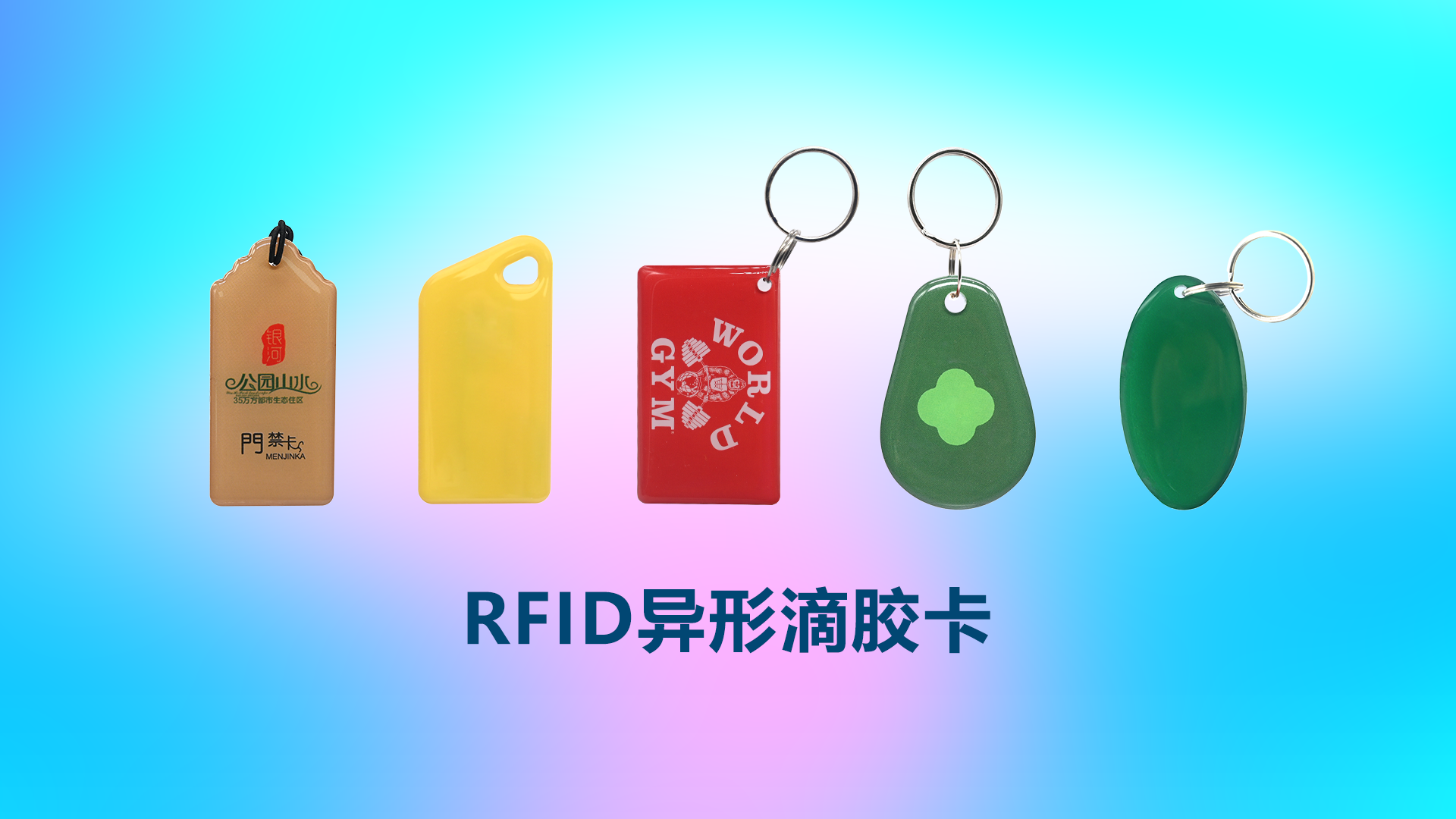 微信圖片_20250612163336